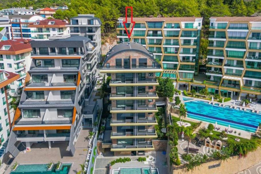 Kavi Suite karğıcak